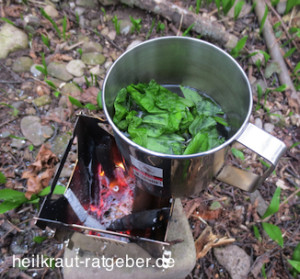 Aus den frischen Bärlauch kann man einen Blutreinigungstee kochen